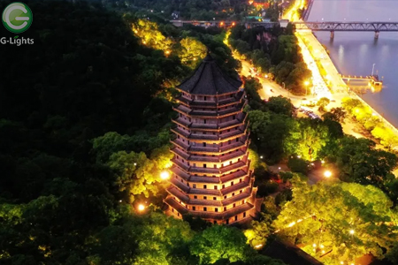 LED抱樹燈